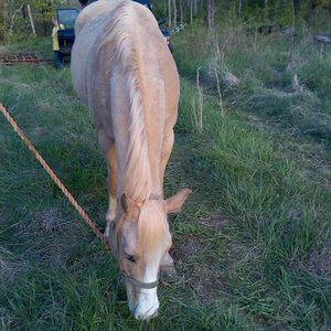 Meet your Posher, Cheryl